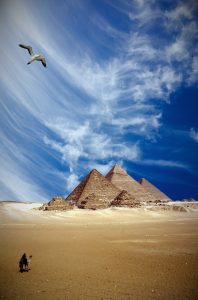pyramids egypt camel